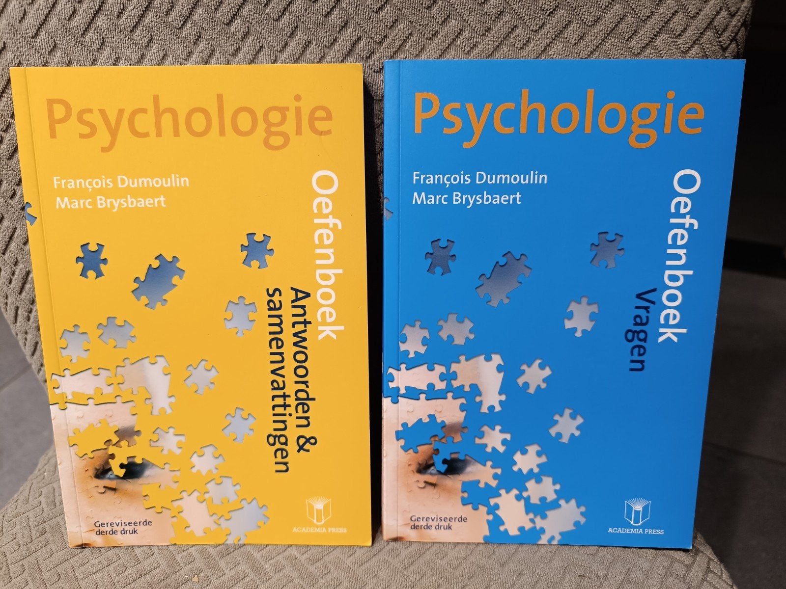 2 x Psychologie : oefenboek vragen, antwoorden..., Livres, Psychologie, Enlèvement ou Envoi