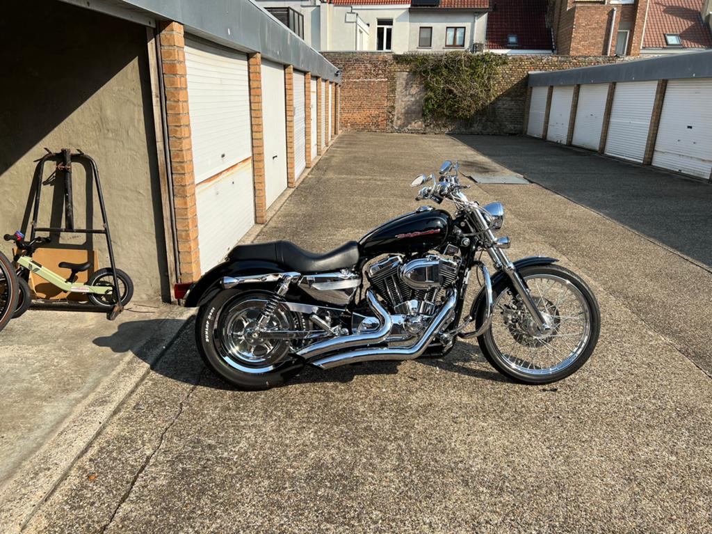 Sportster 1200c, Motos, Motos | Harley-Davidson, Particulier, Autre, 12 à 35 kW, 2 cylindres, Manuelle, Enlèvement