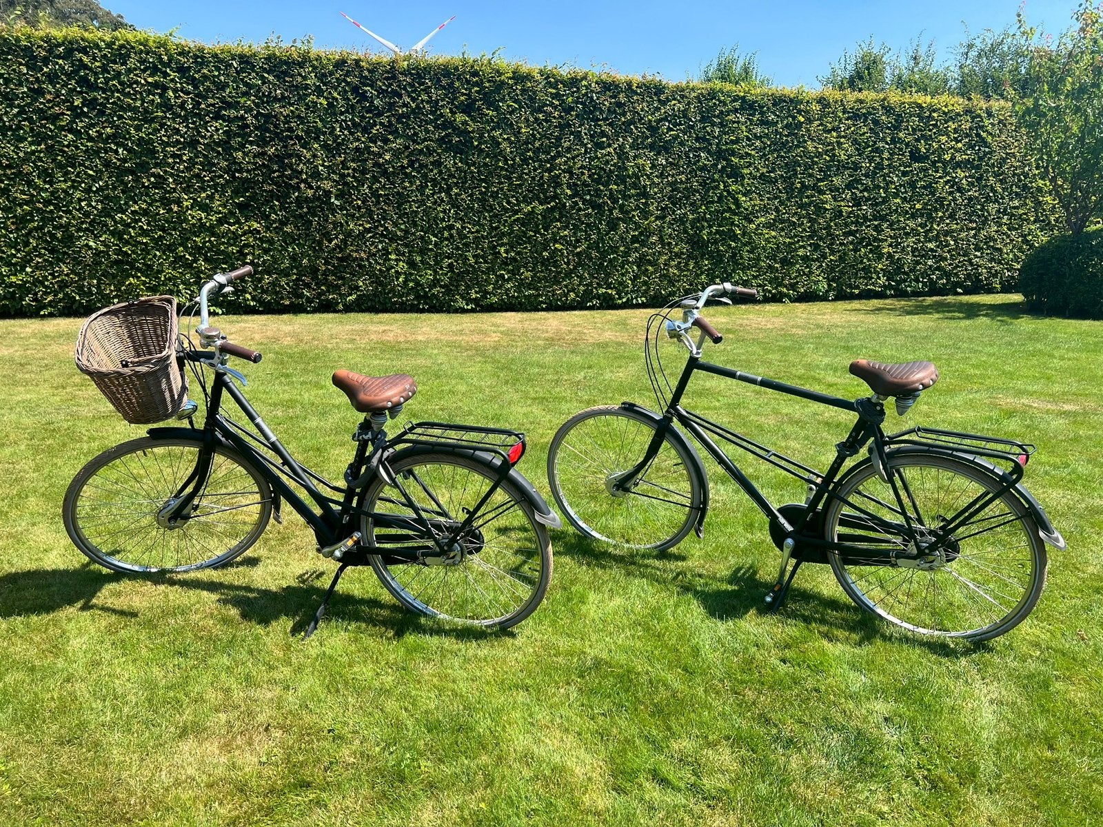 Heren en dames fiets batavus hommage, Ophalen, Gebruikt, Batavus, Versnellingen