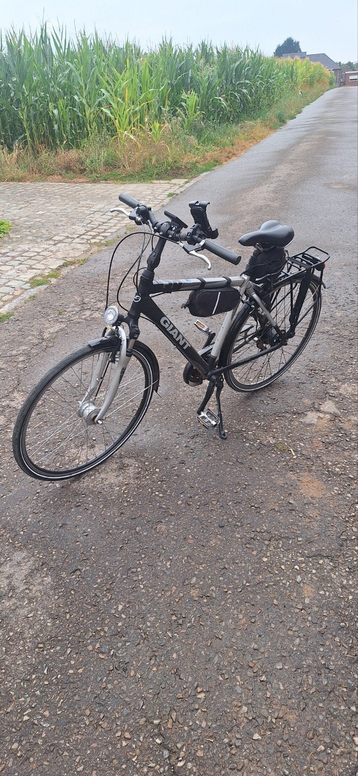 heren fiets Ebike merk Giant, Enlèvement, Vitesses