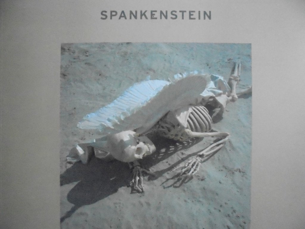 Spank Moons  1  Fotoboek, Livres, Art & Culture | Photographie & Design, Envoi, Neuf, Photographes