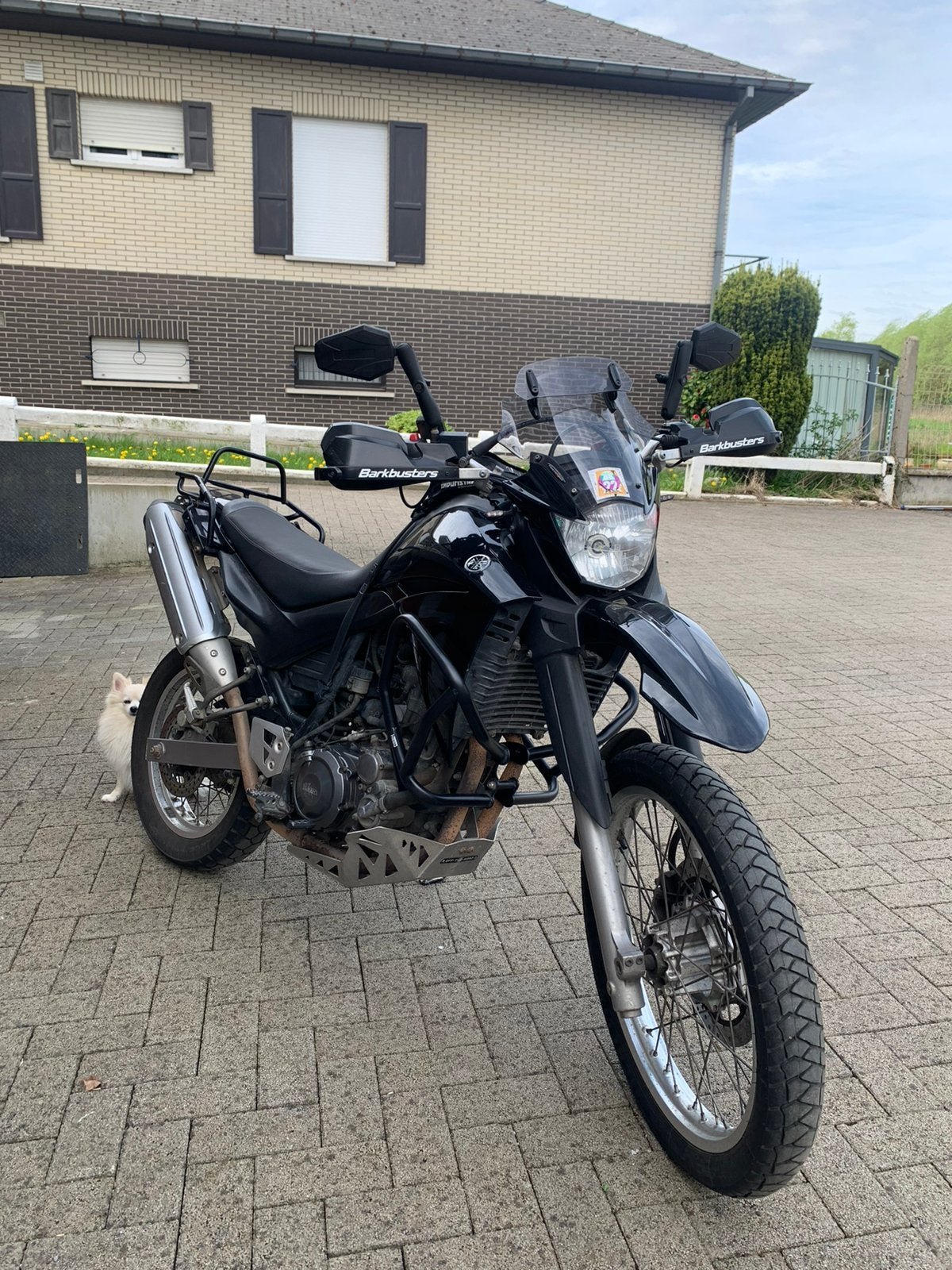 Yamaha XT-660R, 5 vitesses, Yamaha, Enlèvement, Utilisé
