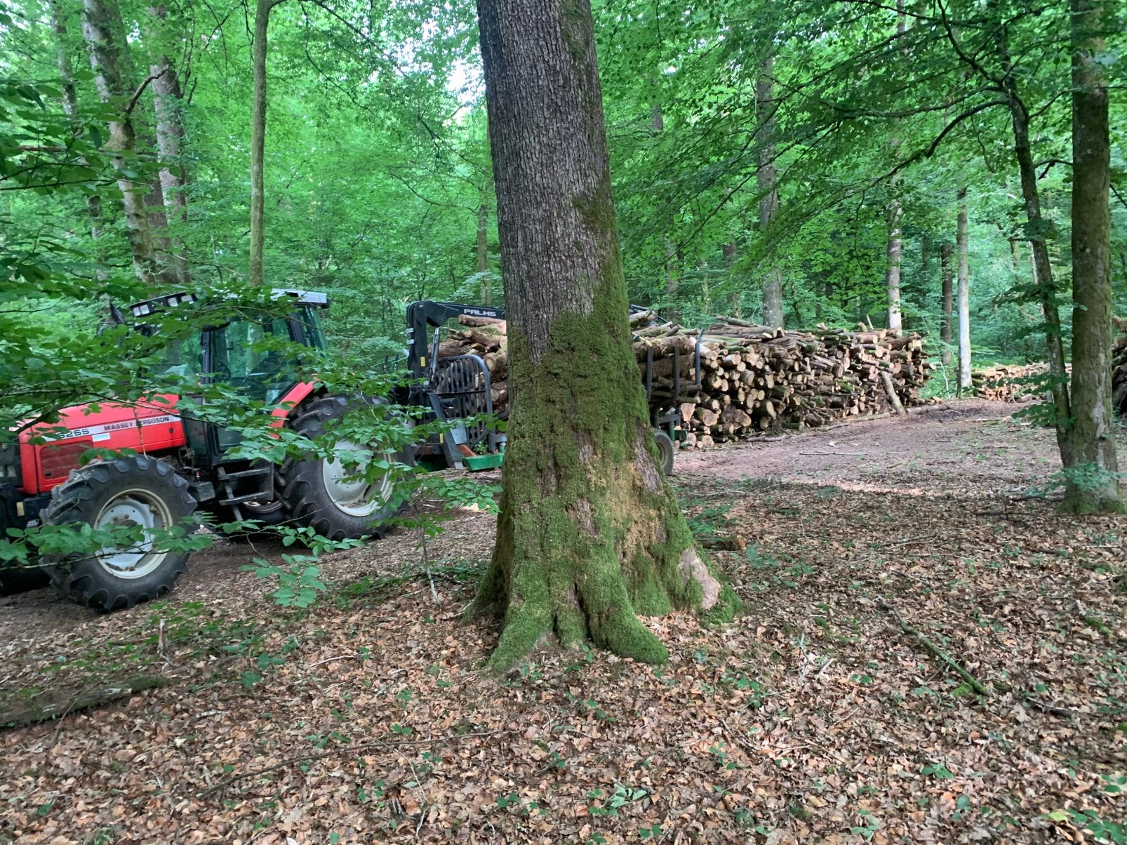 Bois de chauffage