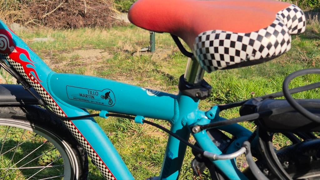 fiets Batavus 22 inch, Ophalen, 22 inch, Gebruikt, Versnellingen