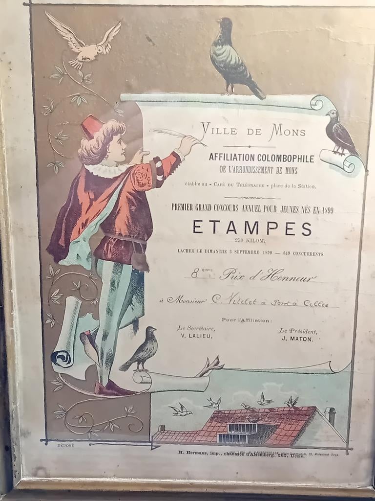 Diploma's duivenduivenduivensport Duiven Duif, Ophalen of Verzenden
