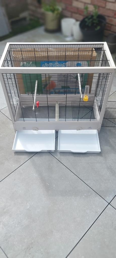 Cage oiseaux, Ophalen