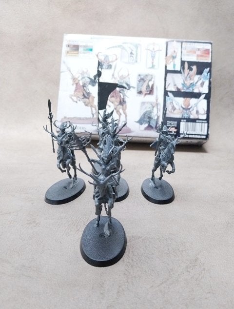 Warhammer Old World - Wild Riders/Sisters of the Thorn, Enlèvement ou Envoi, Comme neuf, Warhammer, Figurine(s)