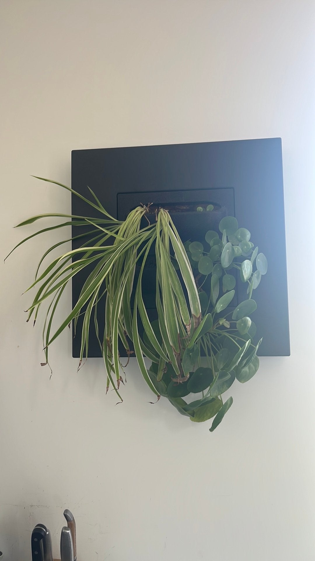 Hangplanten schilderij, Antiek en Kunst, Ophalen