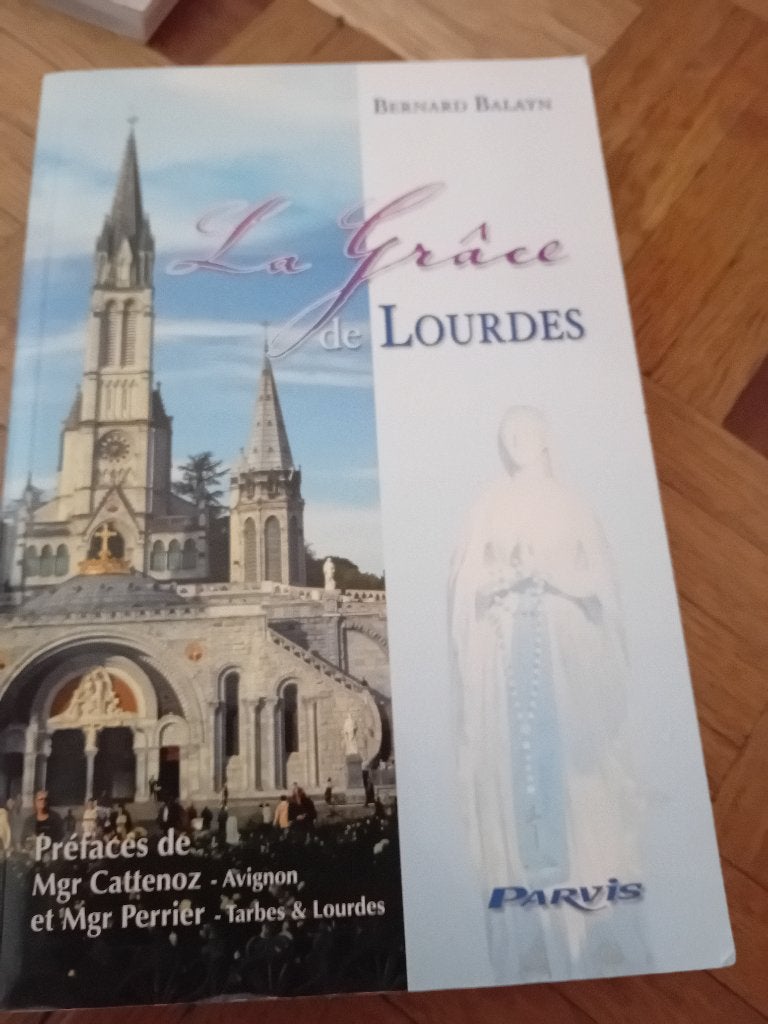 Livre la grâce de lourdes, Boeken, Godsdienst en Theologie, Ophalen of Verzenden, Christendom | Katholiek