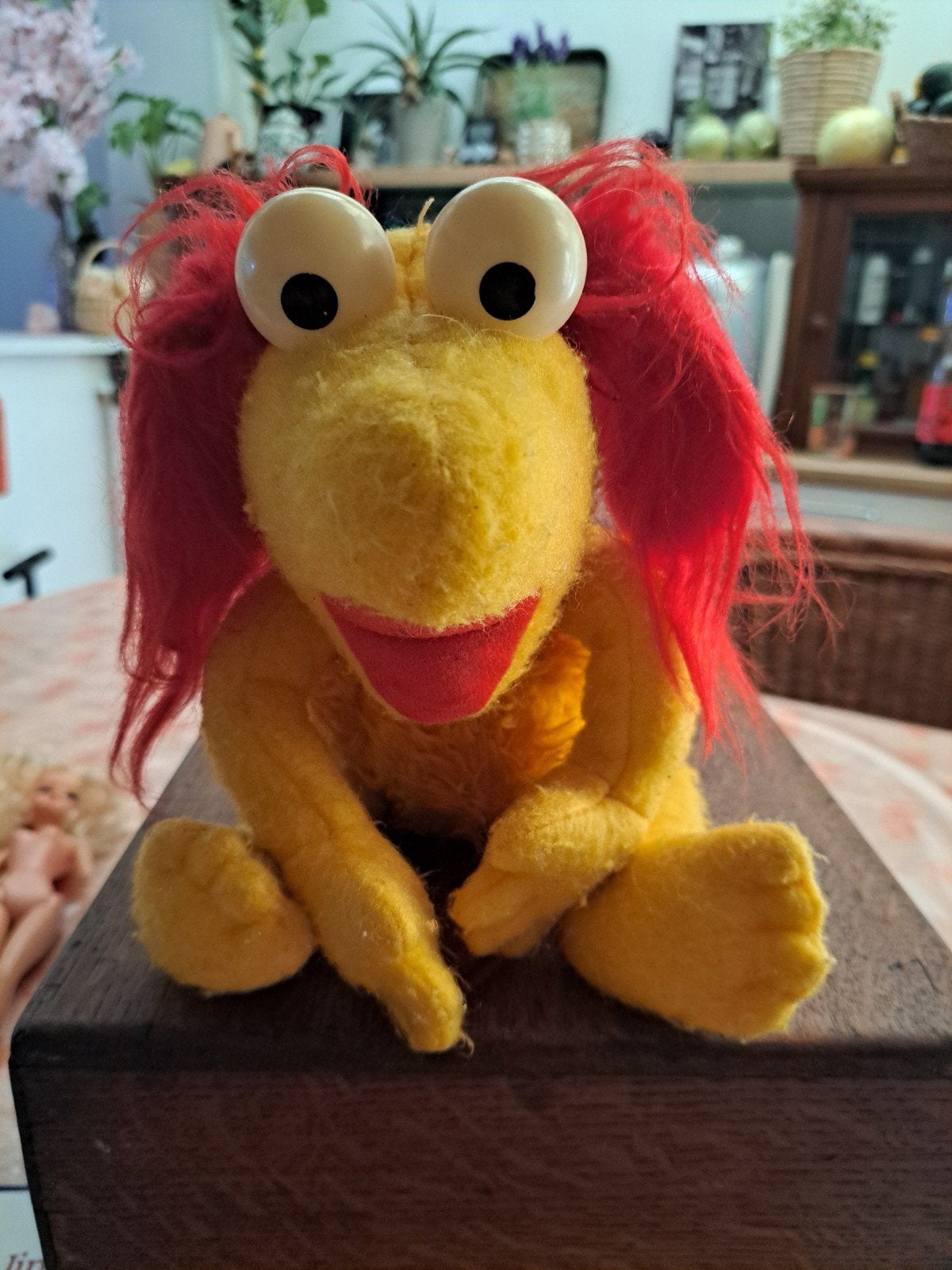 peluche, Enlèvement ou Envoi