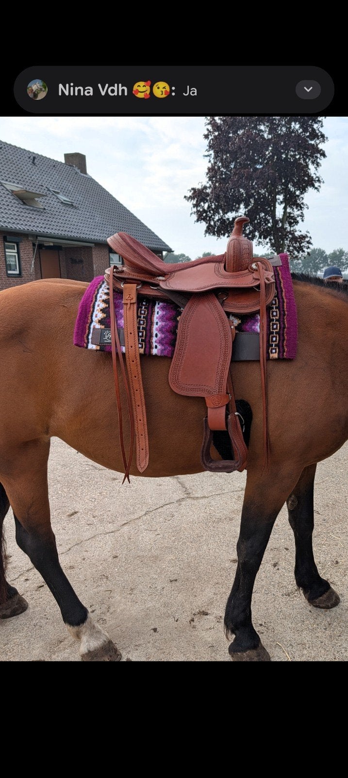 Edix Django western, Dieren en Toebehoren, Ophalen of Verzenden, Overige merken, Recreatie, Verstelbare boom
