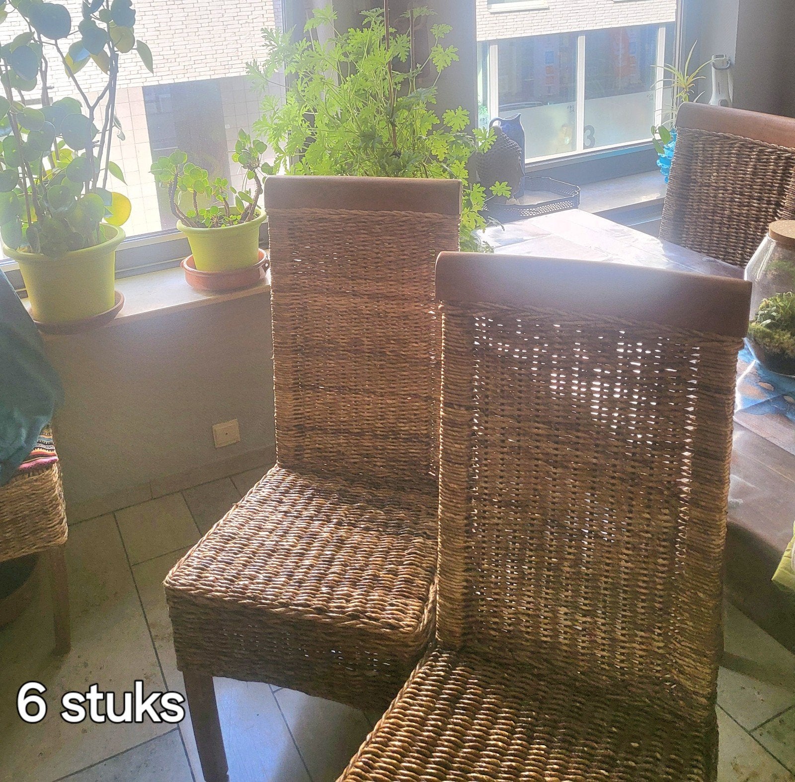 6 rieten, goed onderhouden stoelen,  hoge rug, Ophalen, Overige kleuren, Hout, Zo goed als nieuw