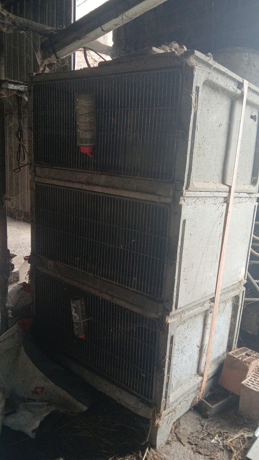 Cage a lapin, Enlèvement, Cage, Lapin