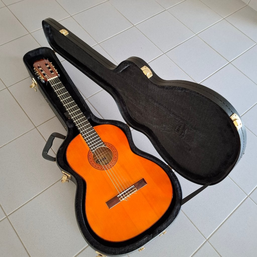Zwarte gitaarkoffer in perfecte staat, Ophalen, Gebruikt, Akoestische gitaar