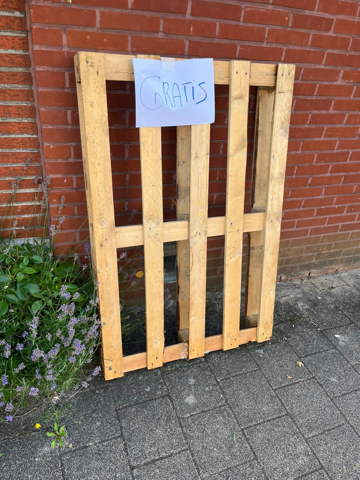 Gratis pallet, Enlèvement, Comme neuf, Palette