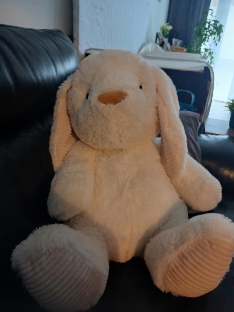 Gros nounours de 60 cm maison   non  fumeur, Kinderen en Baby's, Speelgoed | Knuffels en Pluche
