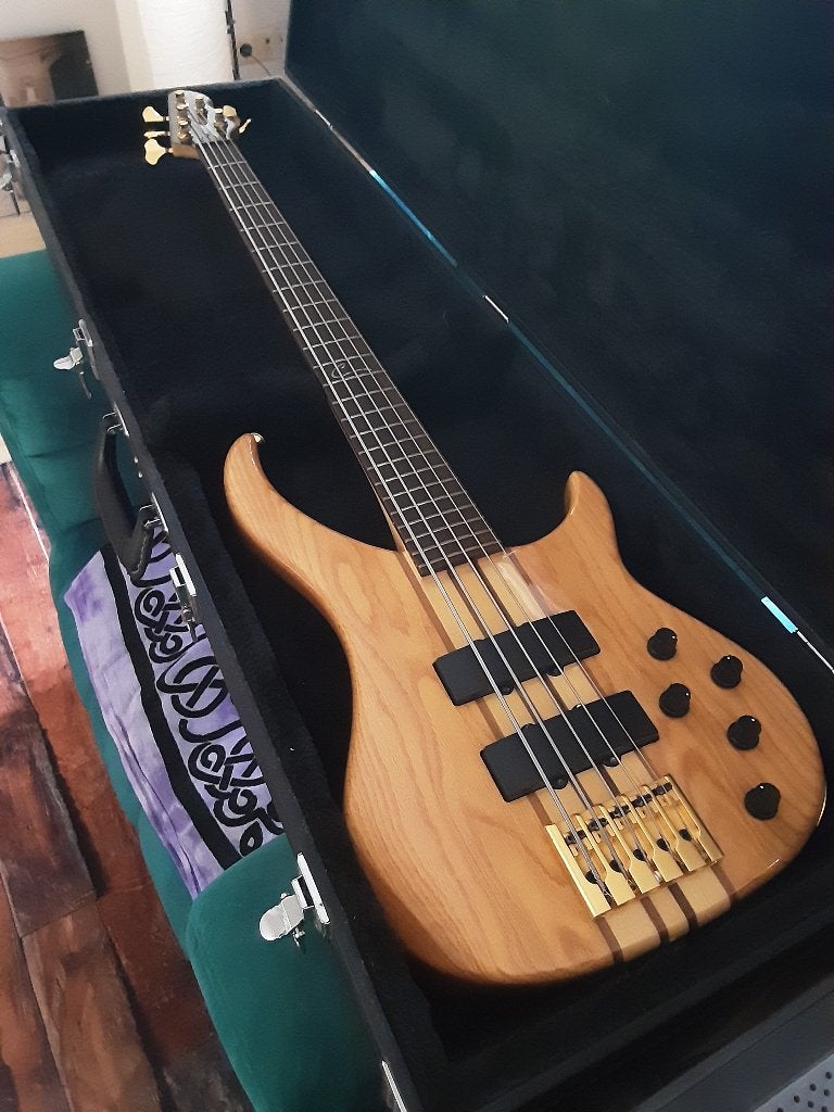 Peavey Cirrus 5 basgitaar, Muziek en Instrumenten, Snaarinstrumenten | Gitaren | Bas, Ophalen, Zo goed als nieuw, 5-snarig