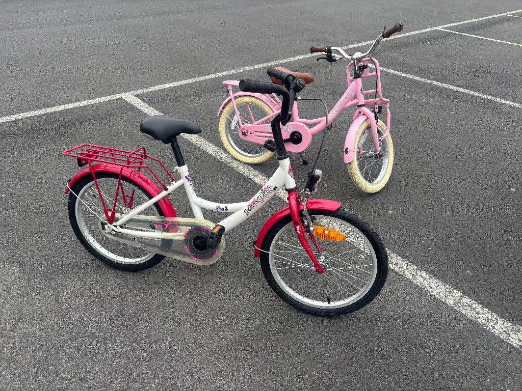 Kinderfiets Golden Lion (16 inch), Ophalen, Gebruikt, Terugtraprem, Golden Lion
