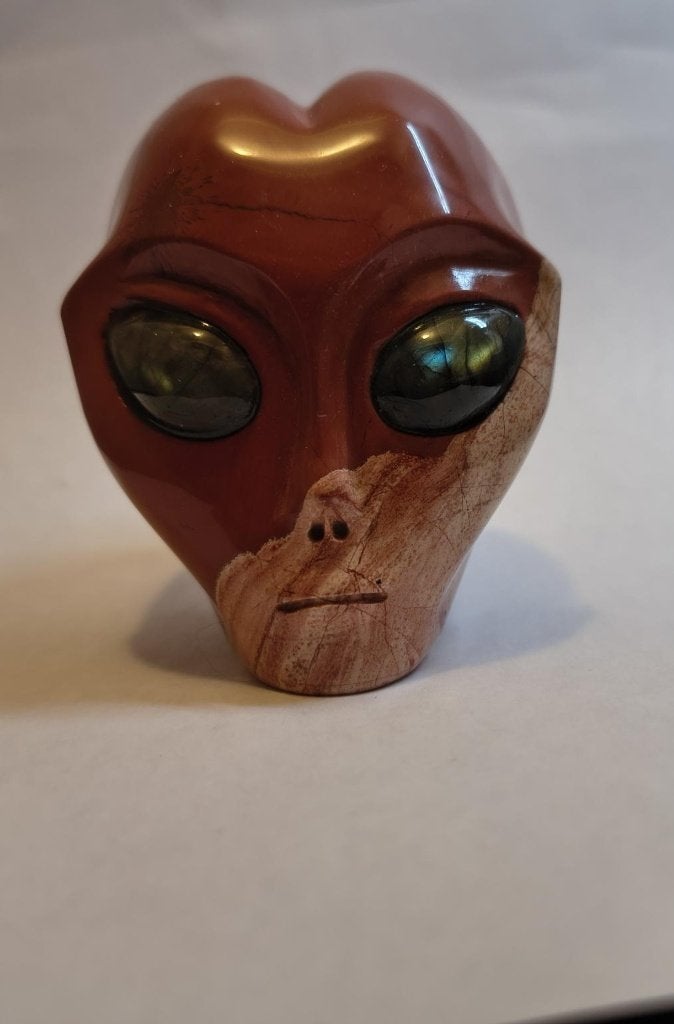 Traveller Alien Jaspis Skull schedel, Ophalen of Verzenden