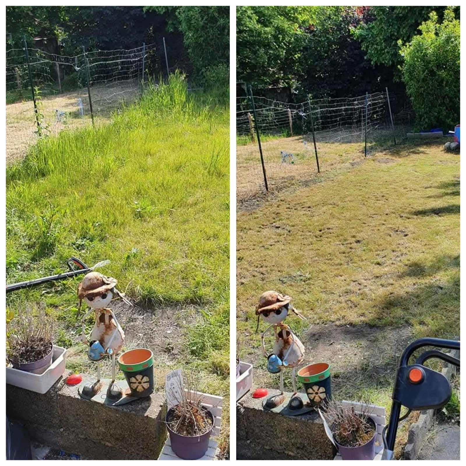 Petit travaux de jardinage et nettoyage de terrasses, chemin, Jardin & Terrasse, Enlèvement
