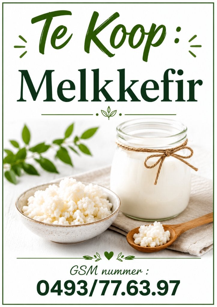 Kéfir au lait - bouillon frais, Divers, Produits alimentaires, Enlèvement