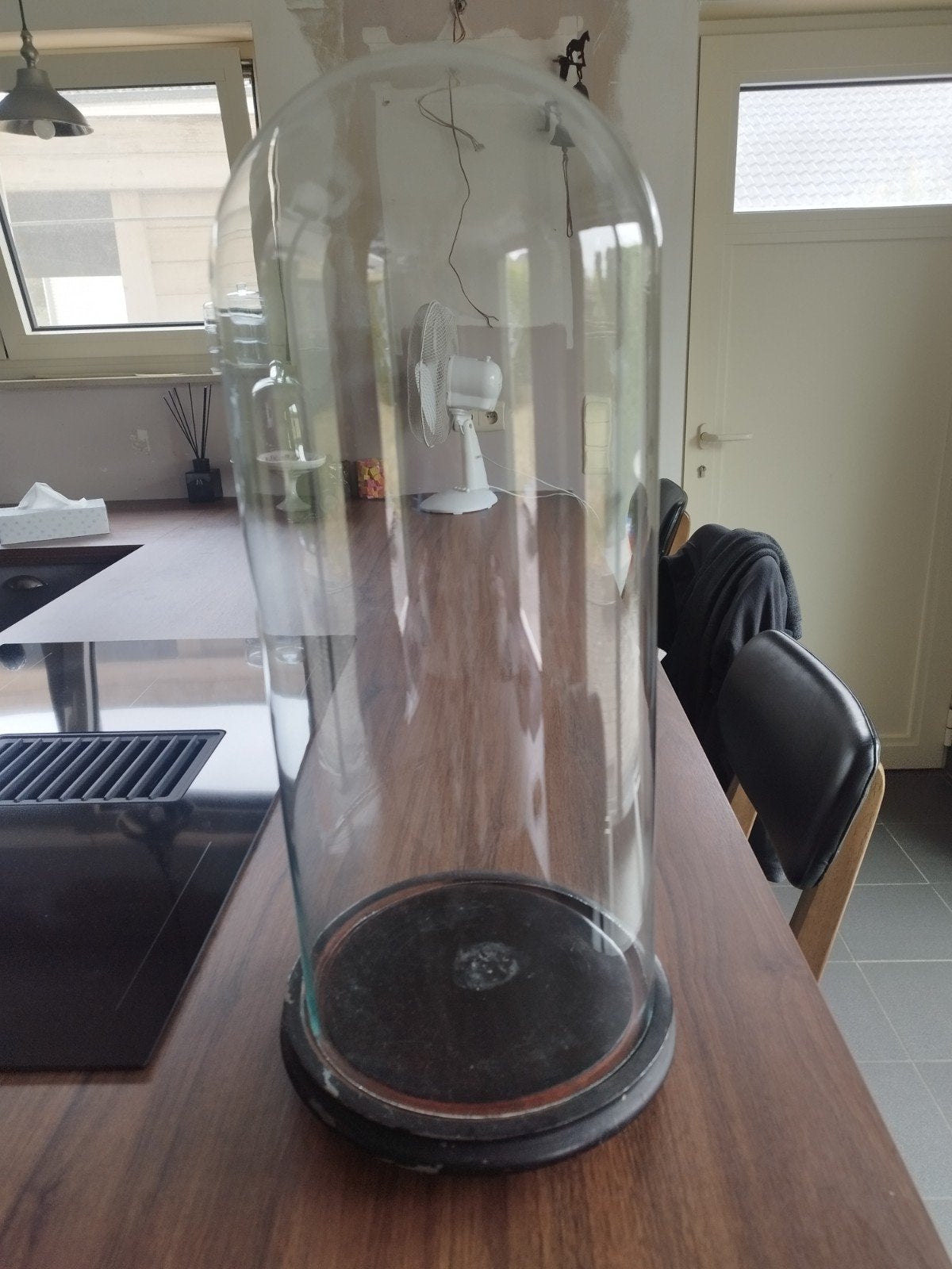 grote glazen stolp, Huis en Inrichting, Woonaccessoires | Stolpen, Ophalen