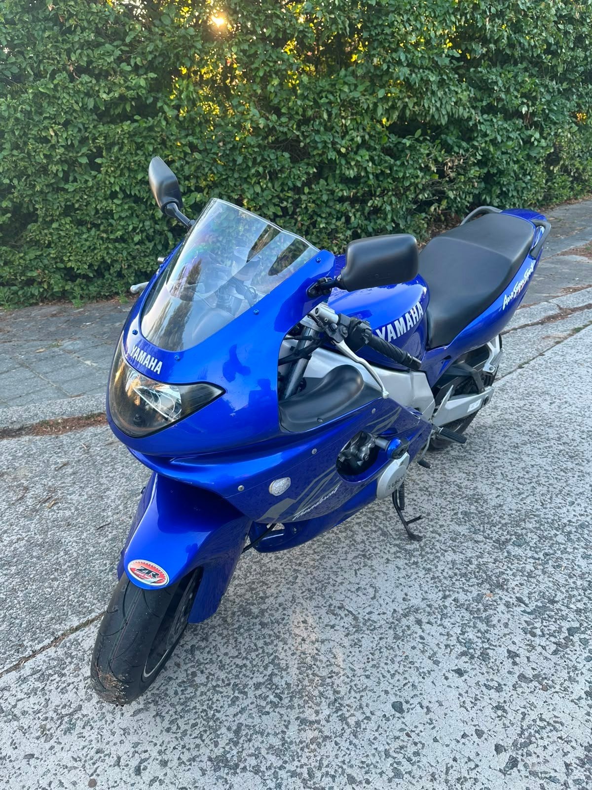 Yamaha 600 thundercat, Particulier