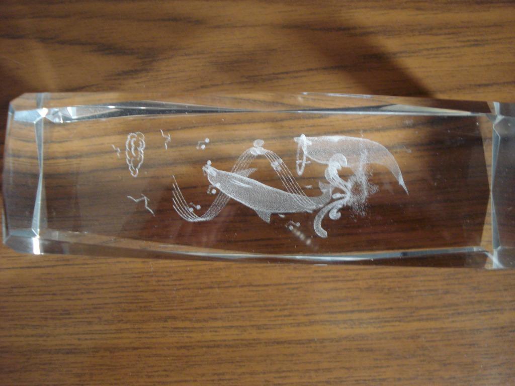 VERSIERING VAN DOORZICHTIG GLAS MET VISSEN, Ophalen