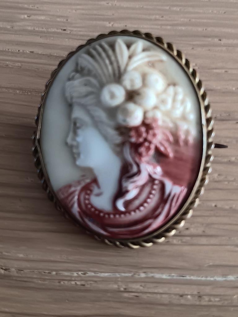 Broche Camée, Enlèvement ou Envoi, Broche