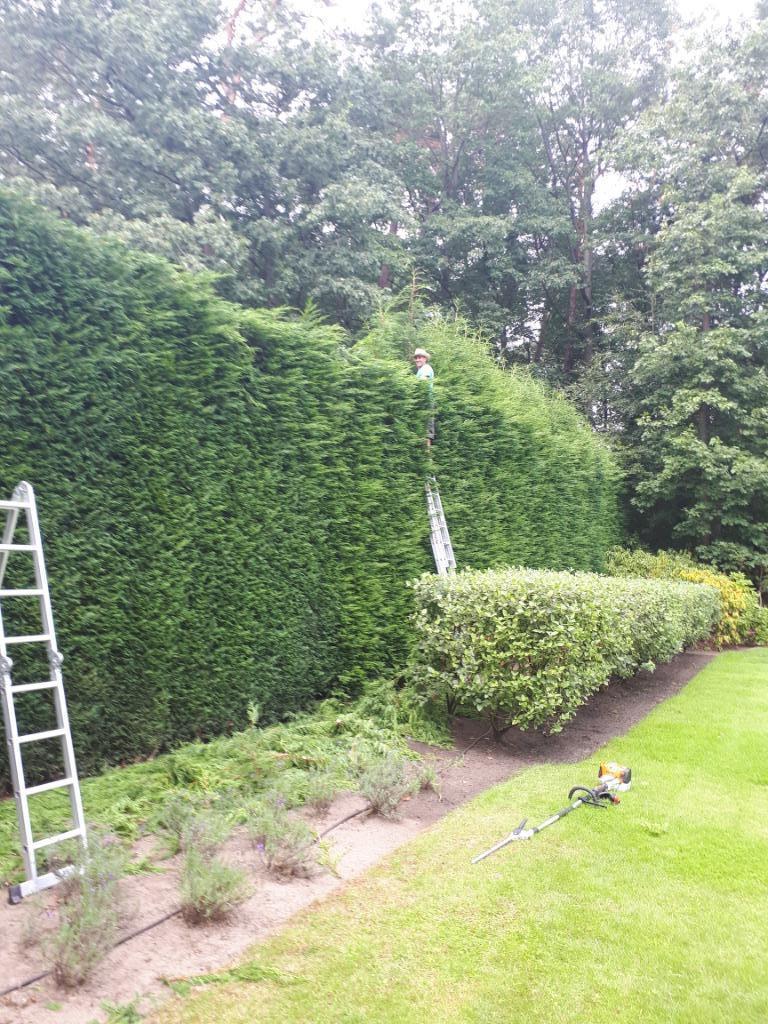 Tuinman , Tuin Onderhoud ,Tuin Aanleg, Garantie, Tuinontwerp