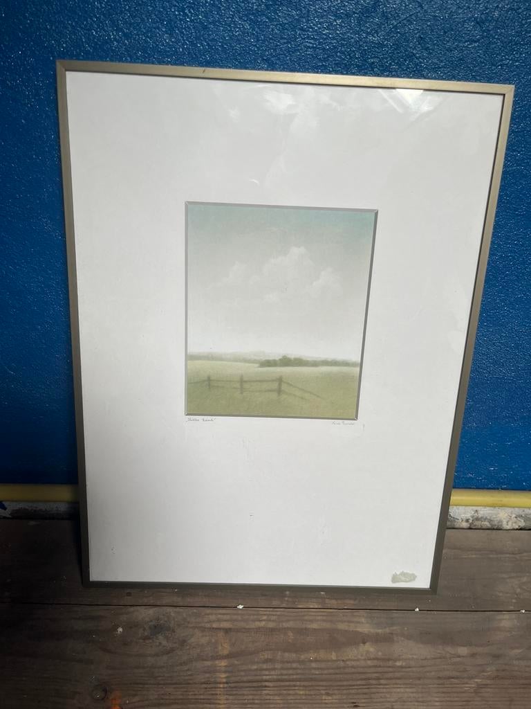 Kader kunst Nina Remro, Antiek en Kunst, Kunst | Litho's en Zeefdrukken, Ophalen
