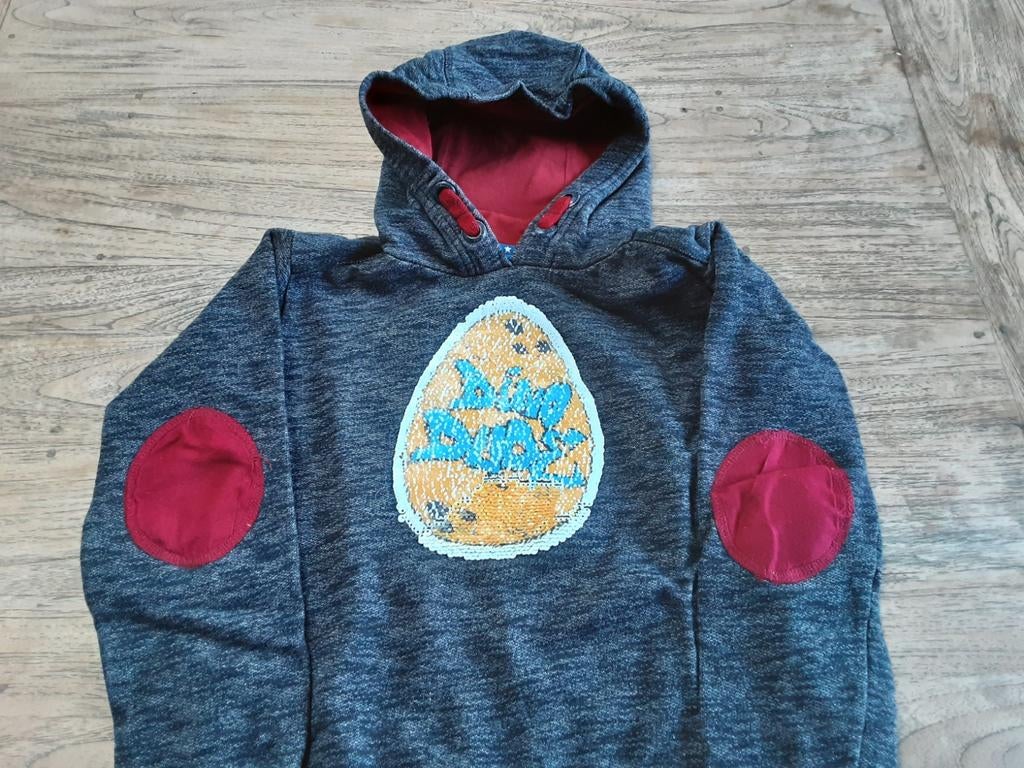 Hoodie quelqu'un taille 122 dino, Enlèvement ou Envoi, Comme neuf
