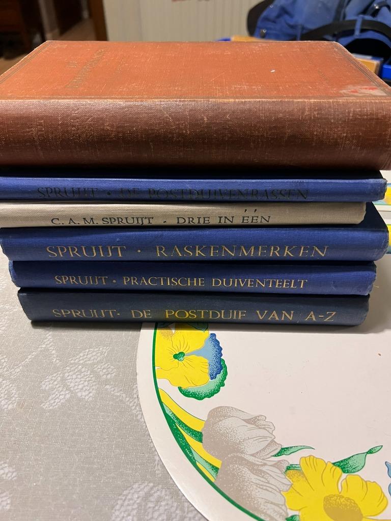 Duivensportboeken C.A.M. Spruijt: Practische Duiventeelt, Ra, Boeken, Ophalen of Verzenden, Gelezen, Vogels, C.A.M. Spruijt