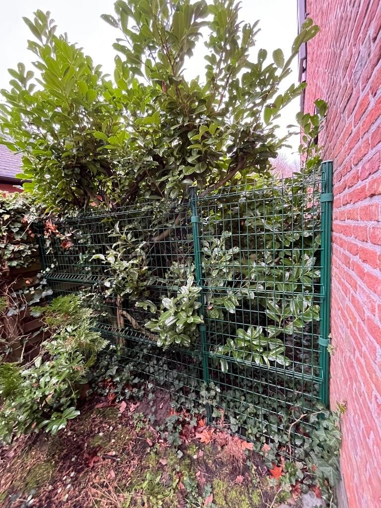 Giardino dubbelstaafmat hek b 3m x h 2m, Tuin en Terras, Tuinhekken en Hekwerk, Ophalen, Zo goed als nieuw, IJzer, Dubbelstaafmat hekwerk