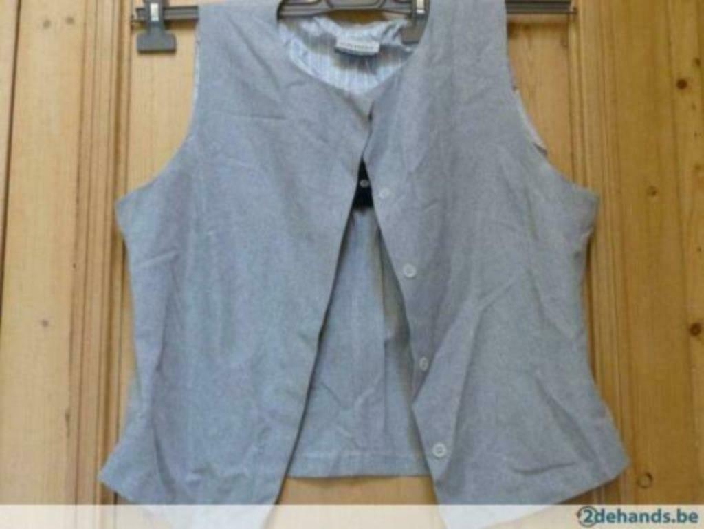 Mode Nieuw grijs vestje/blouse maat 44, Enlèvement ou Envoi, Neuf, Taille 42/44 (L), Gris