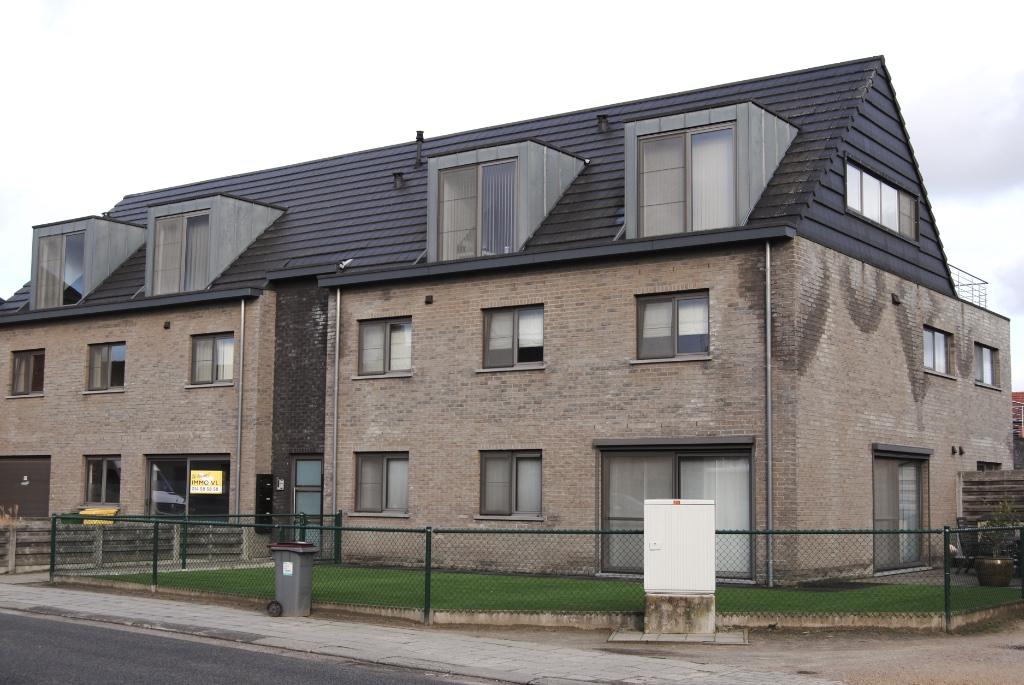 Staanplaats te huur Mol, Provincie Antwerpen