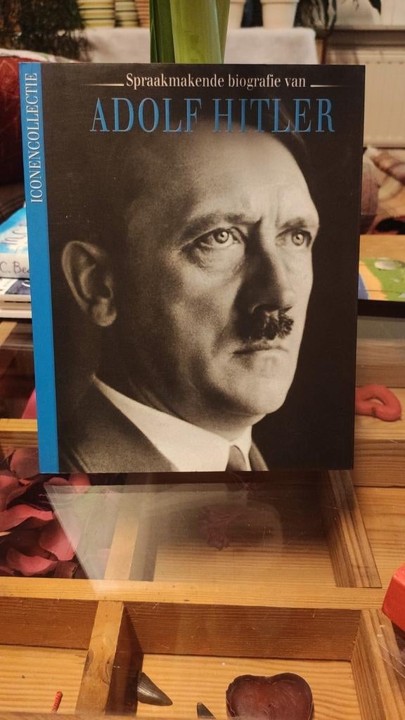 Adolf Hitler, de spraakmakende biografie., Ophalen of Verzenden, Zo goed als nieuw