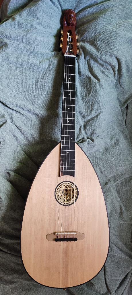 Luitgitaar, Muziek en Instrumenten, Ophalen, Zo goed als nieuw, Overige typen, Met koffer