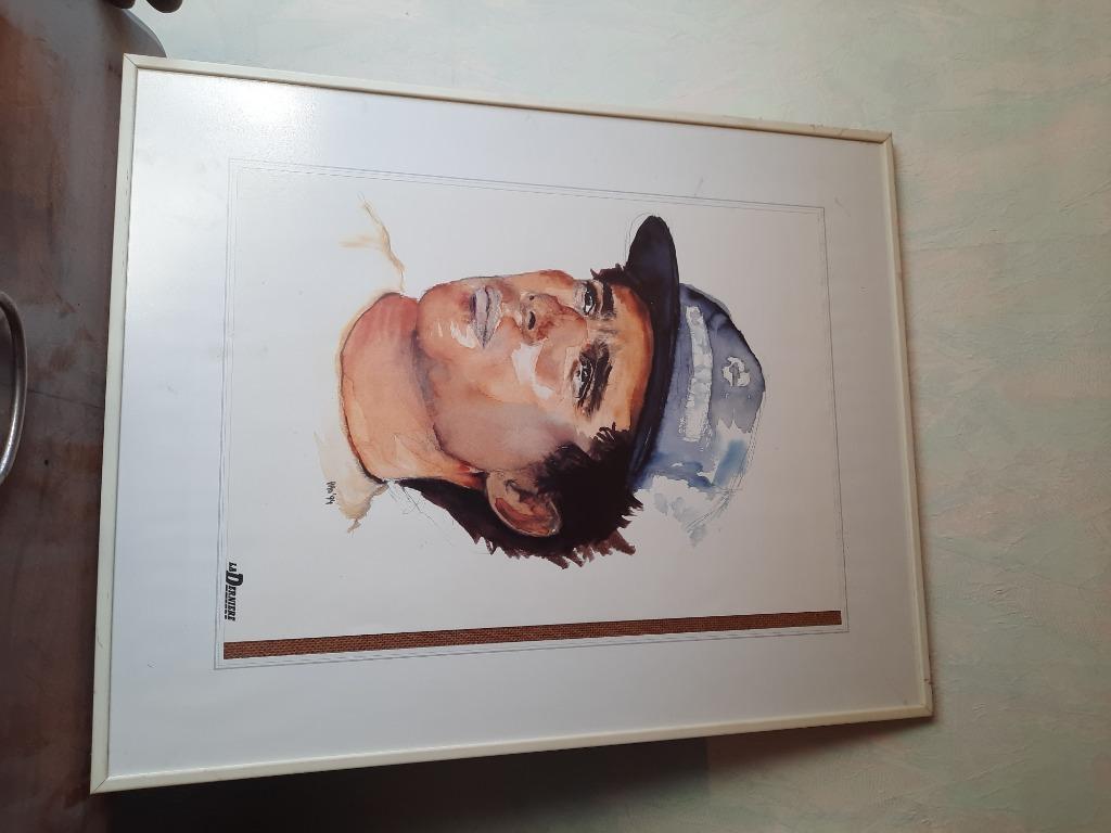 Portrait Ayrton Senna, Ophalen of Verzenden, Gebruikt