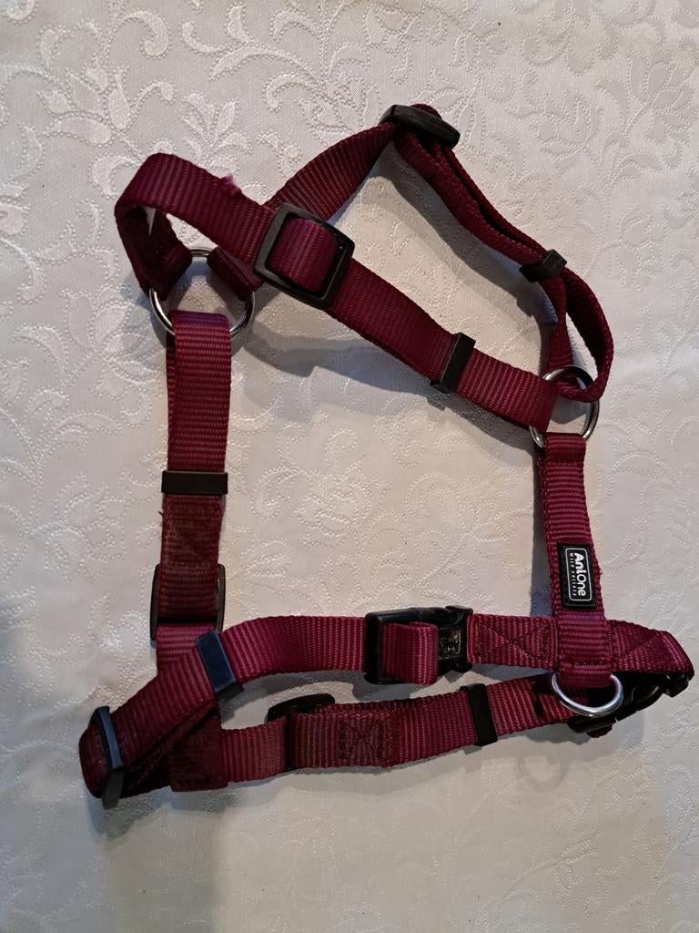 Harnais pour chien AniOne taille m, Dieren en Toebehoren, Hondenriemen, Ophalen, Gebruikt