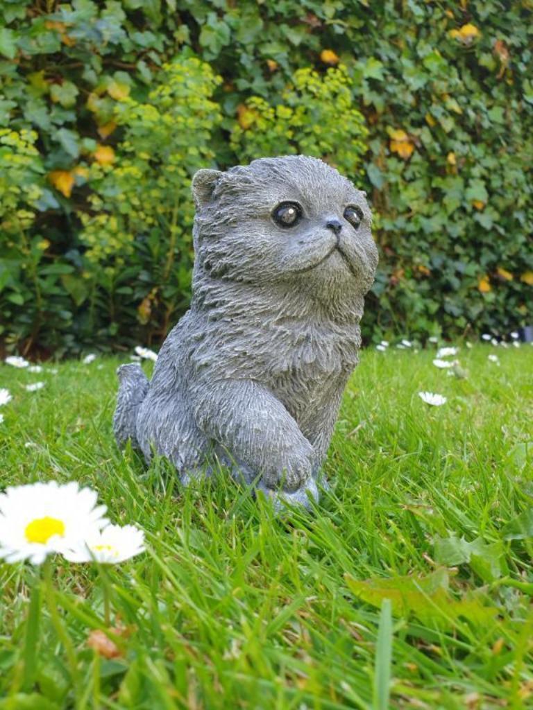Poes met bal , betonnen beeld, Ophalen of Verzenden, Nieuw