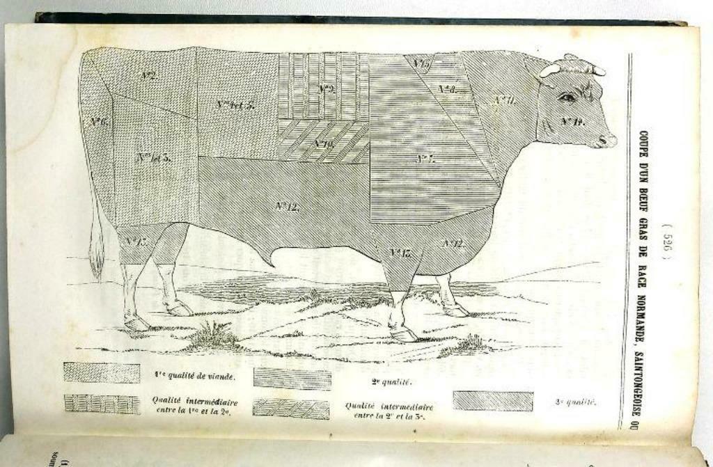 [Landbouw] La Revue Agricole 1846-7 Tractor Algerije Olijven, Antiek en Kunst, Antiek | Boeken en Manuscripten, Ophalen of Verzenden