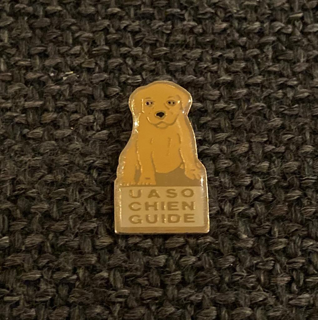 PIN - UASO  CHIEN GUIDE - HOND - DOG, Verzenden, Gebruikt, Dier of Natuur, Speldje of Pin