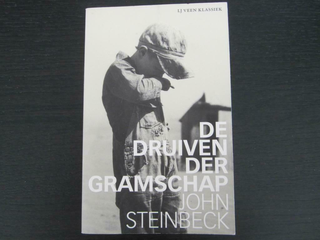 De druiven der gramschap  -John Steinbeck-, Boeken, Ophalen of Verzenden, Amerika
