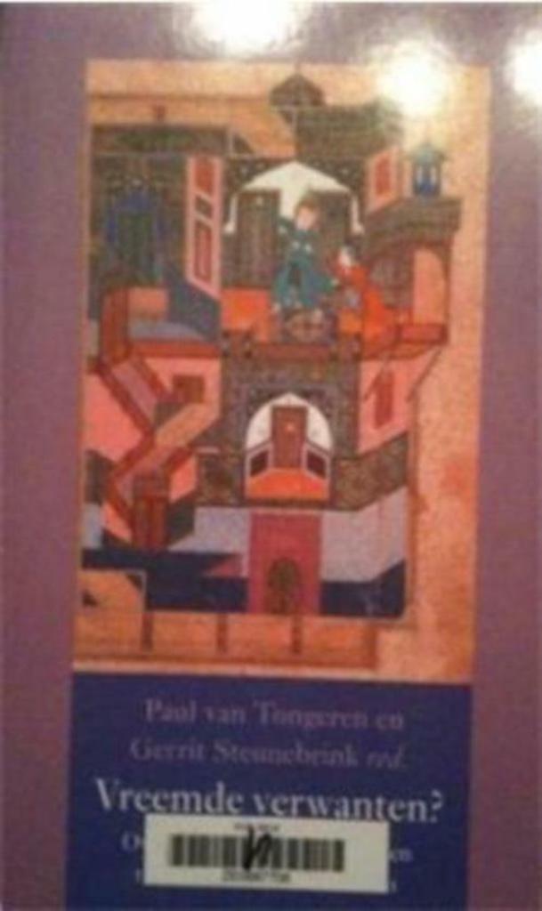 Vreemde verwanten? Paul van Tongeren en Gerrit Steunebrink, Livres, Enlèvement, Islam