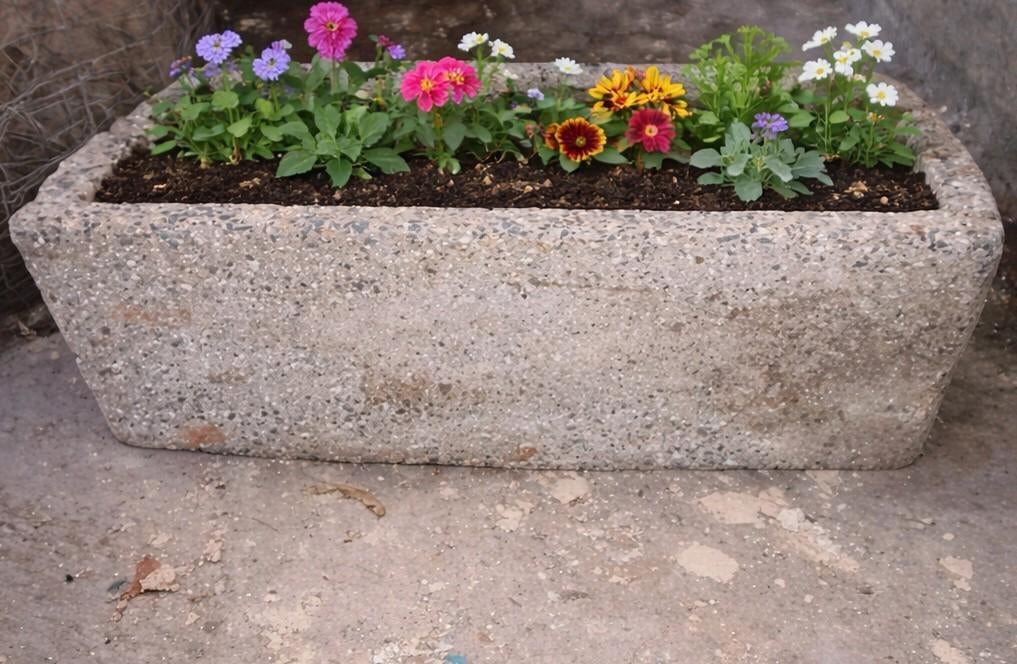 Voederbak trog kan dienst doen als plantenbak, Ophalen, Beton, Tuin