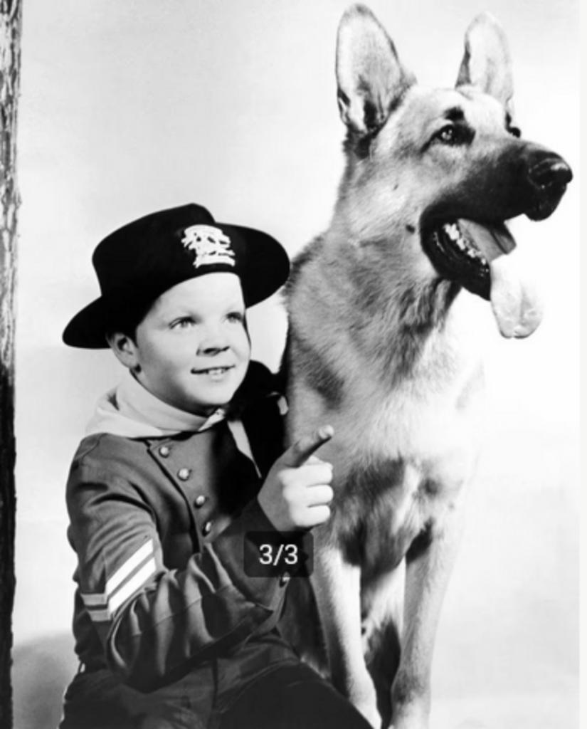 16mm speelfilm  --  Rin Tin Tin ( Op het spoor ), Ophalen of Verzenden, 16mm film