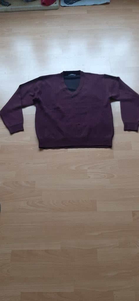 Paarse zachte comfortabele trui met v hals L/XL, Ophalen of Verzenden, Zo goed als nieuw, Maat 52/54 (L)