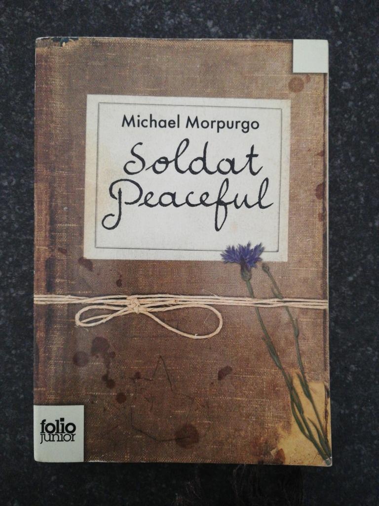 Le soldat Peaceful de Morpurgo, Livres, Michael Morpurgo, Fiction, Comme neuf, Enlèvement