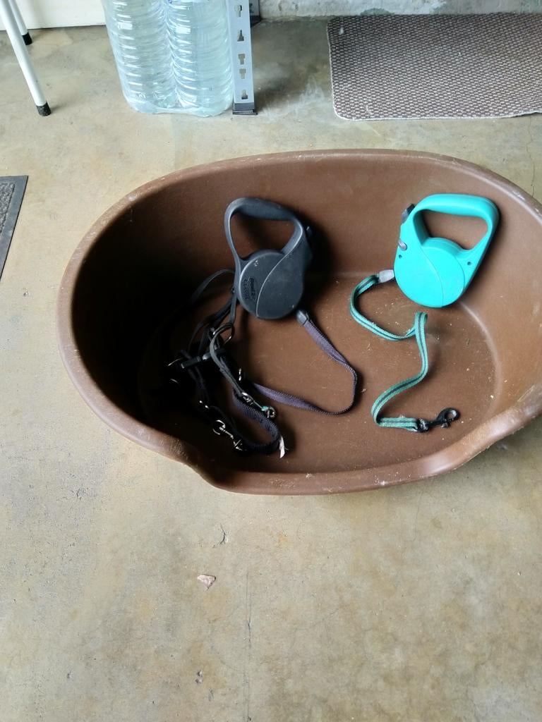 Honden harnas plus twee riemen plus slaap mand, Dieren en Toebehoren, Honden-accessoires, Ophalen